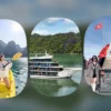 Hạ Long – Sapa 3 Ngày 2 Đêm