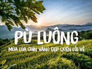 Pu Luong Mua Lua Chin