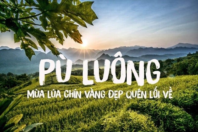 Pu Luong Mua Lua Chin